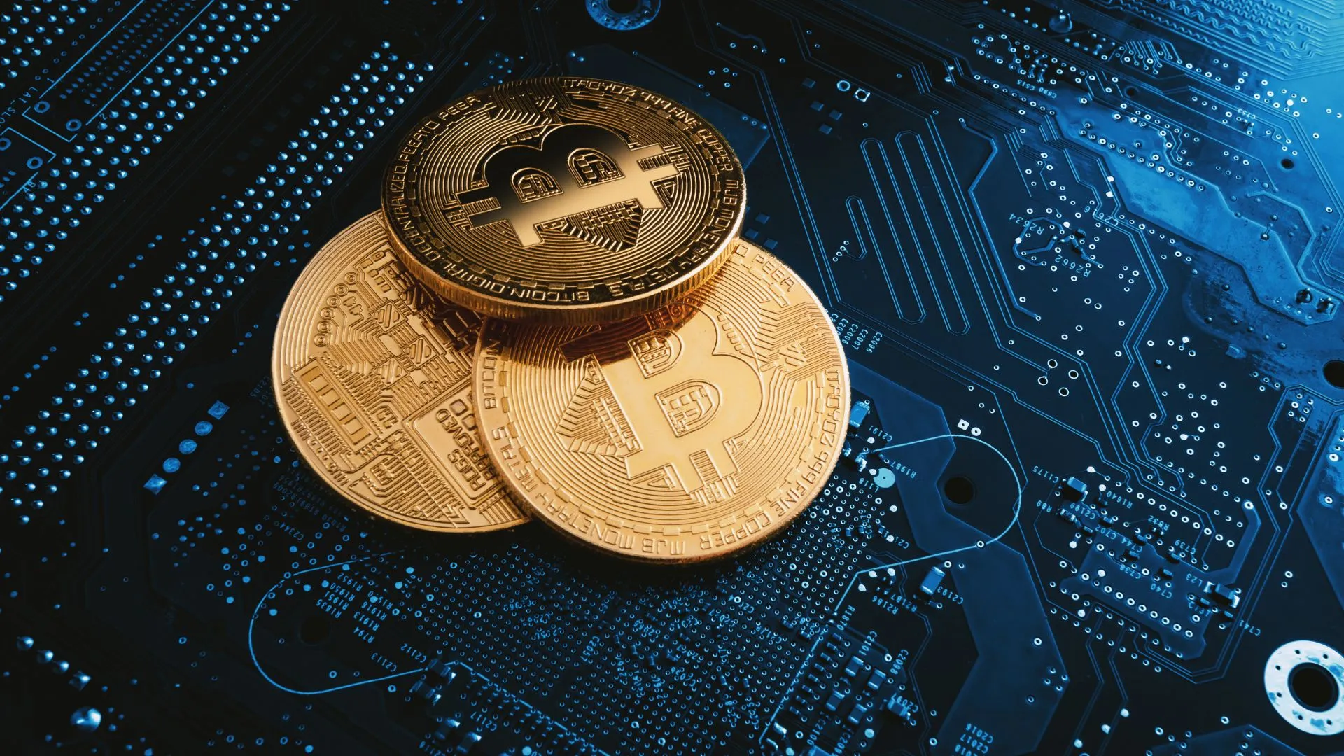 The Role of Bitcoin Wallets in Fees